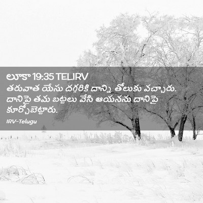 Picture 02 - లూకా 19:35 TELIRV - తరువాత యేసు - Bible Verse Picture