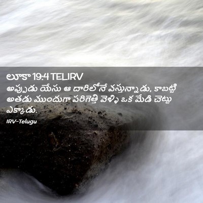 Picture 02 - లూకా 19:4 TELIRV - అప్పుడు యేసు ఆ - Bible Verse Picture