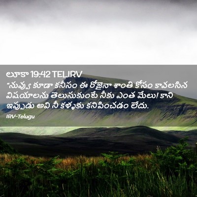Picture 02 - లూకా 19:42 TELIRV - “నువ్వు కూడా - Bible Verse Picture