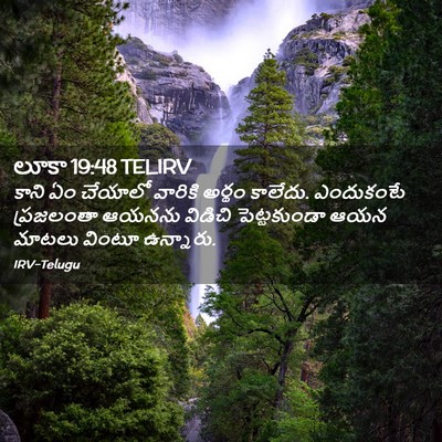 Picture 02 - లూకా 19:48 TELIRV - కాని ఏం చేయాలో - Bible Verse Picture