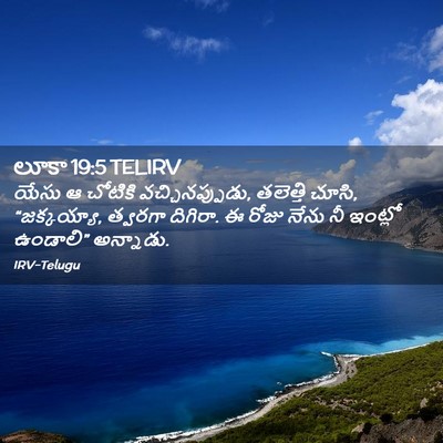 Picture 02 - లూకా 19:5 TELIRV - యేసు ఆ చోటికి - Bible Verse Picture
