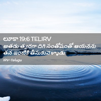 Picture 02 - లూకా 19:6 TELIRV - అతడు త్వరగా దిగి - Bible Verse Picture