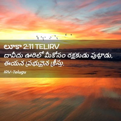 Picture 02 - లూకా 2:11 TELIRV - దావీదు ఊరిలో - Bible Verse Picture