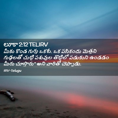 Picture 02 - లూకా 2:12 TELIRV - మీకు కొండ గుర్తు - Bible Verse Picture