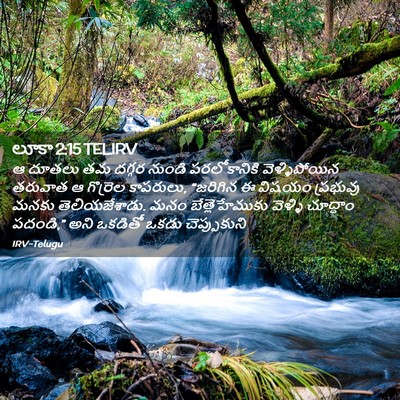 Picture 02 - లూకా 2:15 TELIRV - ఆ దూతలు తమ దగ్గర - Bible Verse Picture