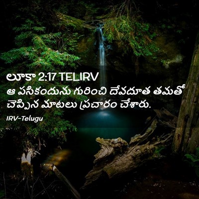 Picture 02 - లూకా 2:17 TELIRV - ఆ పసికందును - Bible Verse Picture