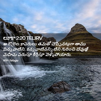 Picture 02 - లూకా 2:20 TELIRV - ఆ గొర్రెల కాపరులు - Bible Verse Picture