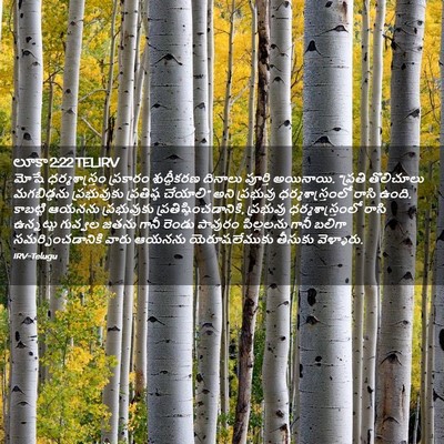 Picture 02 - లూకా 2:22 TELIRV - మోషే ధర్మశాస్త్రం - Bible Verse Picture