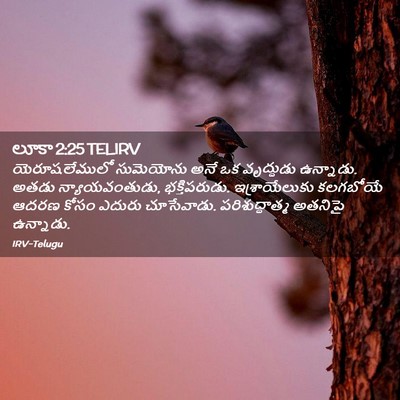 Picture 02 - లూకా 2:25 TELIRV - యెరూషలేములో - Bible Verse Picture