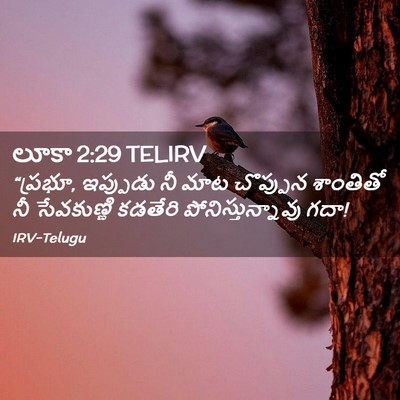 Picture 02 - లూకా 2:29 TELIRV - “ప్రభూ, ఇప్పుడు నీ - Bible Verse Picture