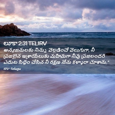 Picture 02 - లూకా 2:31 TELIRV - అన్యజనులకు నిన్ను - Bible Verse Picture