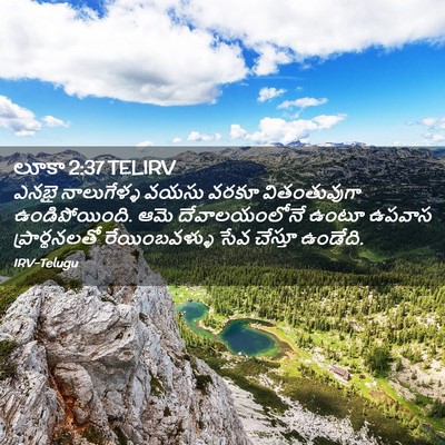 Picture 02 - లూకా 2:37 TELIRV - ఎనభై నాలుగేళ్ళ - Bible Verse Picture
