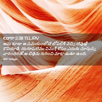 Picture 02 - లూకా 2:38 TELIRV - ఆమె కూడా ఆ - Bible Verse Picture