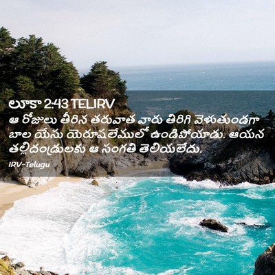 Picture 02 - లూకా 2:43 TELIRV - ఆ రోజులు తీరిన - Bible Verse Picture