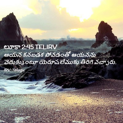 Picture 02 - లూకా 2:45 TELIRV - ఆయన కనబడక పోవడంతో - Bible Verse Picture