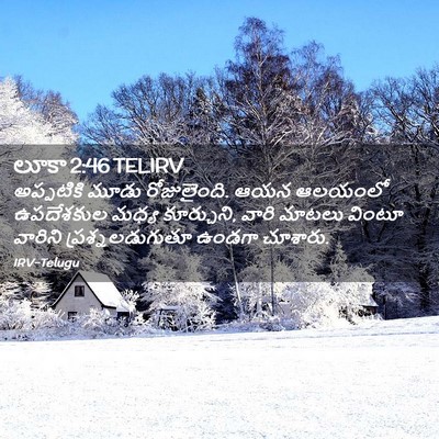 Picture 02 - లూకా 2:46 TELIRV - అప్పటికి మూడు - Bible Verse Picture