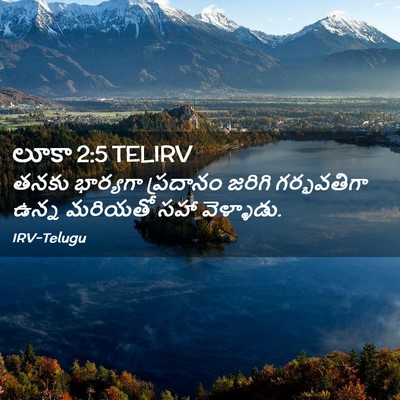 Picture 02 - లూకా 2:5 TELIRV - తనకు భార్యగా - Bible Verse Picture