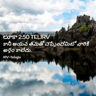 Picture 02 - లూకా 2:50 TELIRV - కానీ ఆయన తమతో - Bible Verse Picture