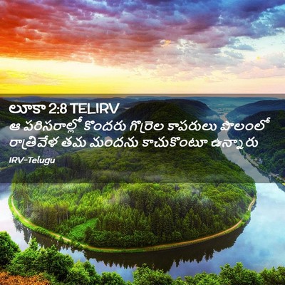 Picture 02 - లూకా 2:8 TELIRV - ఆ పరిసరాల్లో - Bible Verse Picture