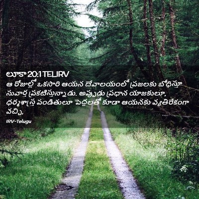 Picture 02 - లూకా 20:1 TELIRV - ఆ రోజుల్లో ఒకసారి - Bible Verse Picture