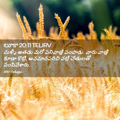 Picture 02 - లూకా 20:11 TELIRV - మళ్ళీ అతడు మరో - Bible Verse Picture