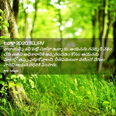 Picture 02 - లూకా 20:20 TELIRV - వారాయన్ని - Bible Verse Picture
