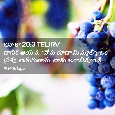 Picture 02 - లూకా 20:3 TELIRV - దానికి ఆయన, “నేను - Bible Verse Picture