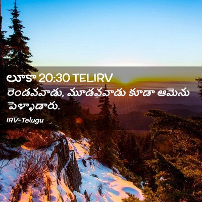 Picture 02 - లూకా 20:30 TELIRV - రెండవవాడు, - Bible Verse Picture