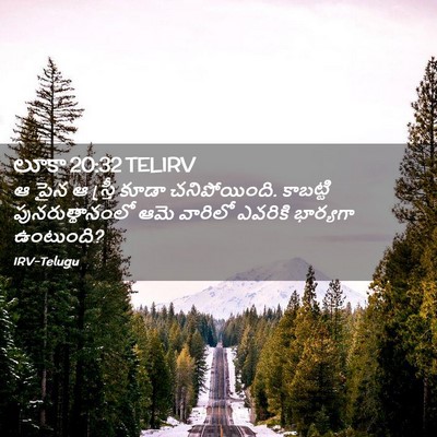 Picture 02 - లూకా 20:32 TELIRV - ఆ పైన ఆ స్త్రీ కూడా - Bible Verse Picture