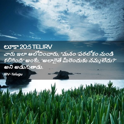Picture 02 - లూకా 20:5 TELIRV - వారు ఇలా - Bible Verse Picture