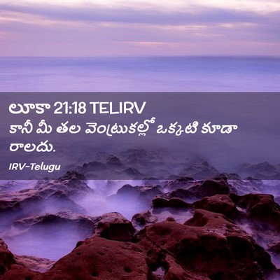 Picture 02 - లూకా 21:18 TELIRV - కానీ మీ తల - Bible Verse Picture