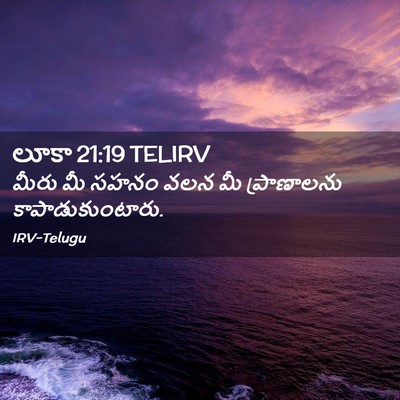 Picture 02 - లూకా 21:19 TELIRV - మీరు మీ సహనం వలన మీ - Bible Verse Picture
