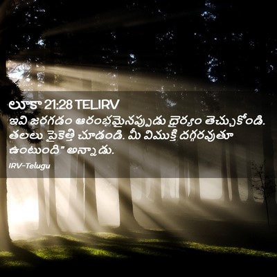 Picture 02 - లూకా 21:28 TELIRV - ఇవి జరగడం - Bible Verse Picture