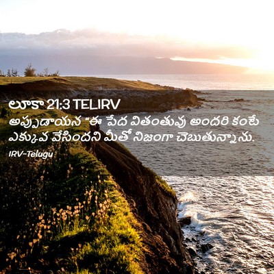 Picture 02 - లూకా 21:3 TELIRV - అప్పుడాయన “ఈ పేద - Bible Verse Picture