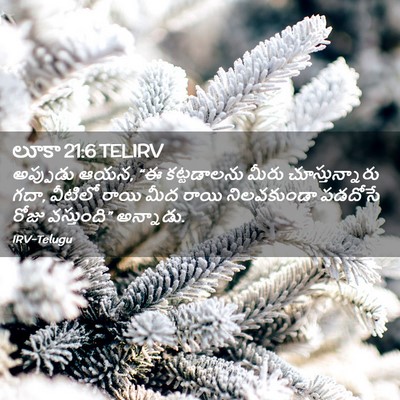 Picture 02 - లూకా 21:6 TELIRV - అప్పుడు ఆయన, “ఈ - Bible Verse Picture