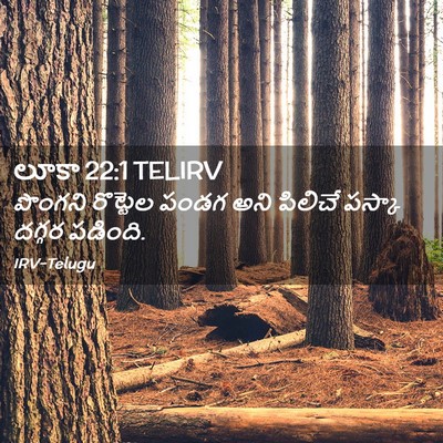Picture 02 - లూకా 22:1 TELIRV - పొంగని రొట్టెల - Bible Verse Picture
