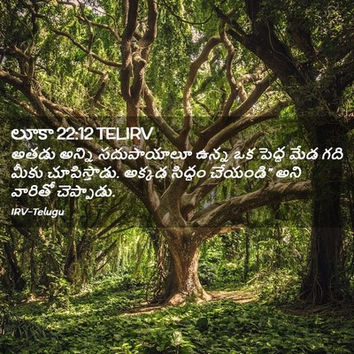Picture 02 - లూకా 22:12 TELIRV - అతడు అన్ని - Bible Verse Picture