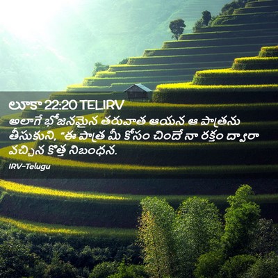 Picture 02 - లూకా 22:20 TELIRV - అలాగే భోజనమైన - Bible Verse Picture