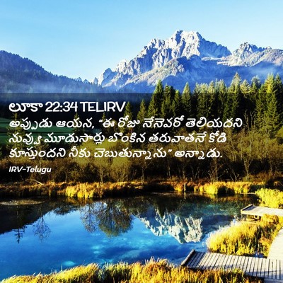 Picture 02 - లూకా 22:34 TELIRV - అప్పుడు ఆయన, “ఈ - Bible Verse Picture