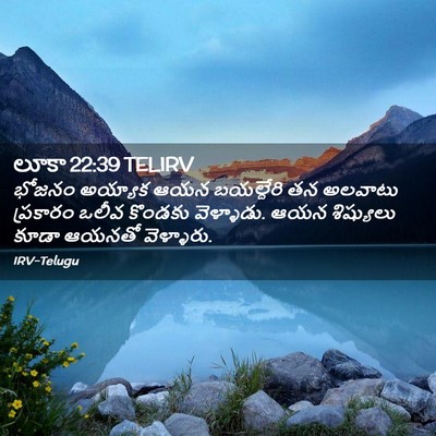 Picture 02 - లూకా 22:39 TELIRV - భోజనం అయ్యాక ఆయన - Bible Verse Picture