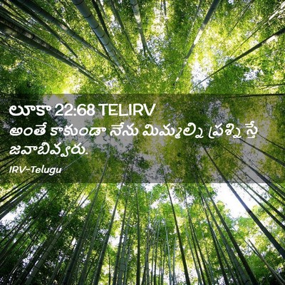 Picture 02 - లూకా 22:68 TELIRV - అంతే కాకుండా నేను - Bible Verse Picture