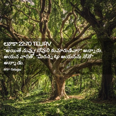 Picture 02 - లూకా 22:70 TELIRV - “అయితే నువ్వు - Bible Verse Picture
