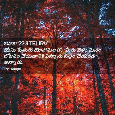 Picture 02 - లూకా 22:8 TELIRV - యేసు పేతురు - Bible Verse Picture