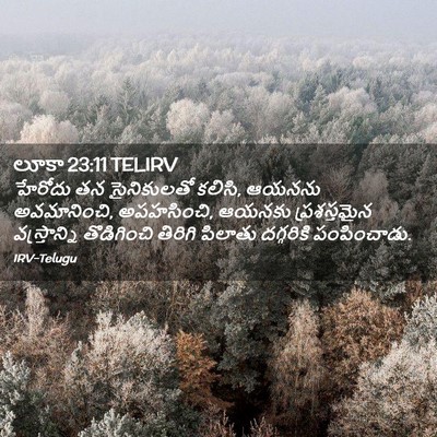 Picture 02 - లూకా 23:11 TELIRV - హేరోదు తన - Bible Verse Picture
