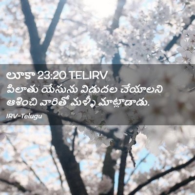 Picture 02 - లూకా 23:20 TELIRV - పిలాతు యేసును - Bible Verse Picture