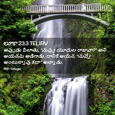 Picture 02 - లూకా 23:3 TELIRV - అప్పుడు పిలాతు, - Bible Verse Picture