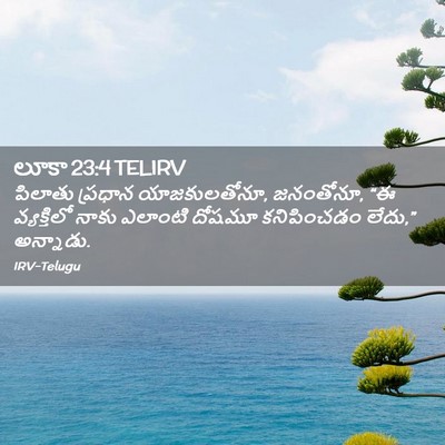 Picture 02 - లూకా 23:4 TELIRV - పిలాతు ప్రధాన - Bible Verse Picture