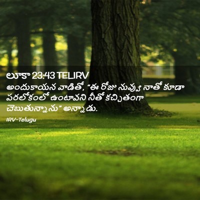 Picture 02 - లూకా 23:43 TELIRV - అందుకాయన వాడితో, - Bible Verse Picture