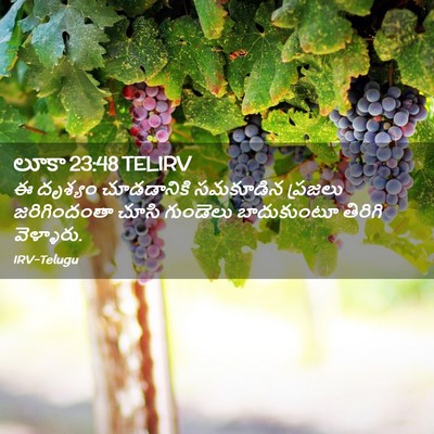 Picture 02 - లూకా 23:48 TELIRV - ఈ దృశ్యం - Bible Verse Picture