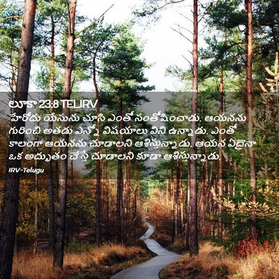 Picture 02 - లూకా 23:8 TELIRV - హేరోదు యేసును - Bible Verse Picture